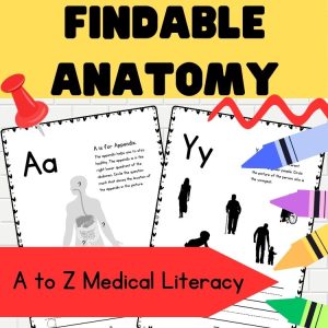 alt="Findable Anatomy worksheets, A to Z Medical Literacy"