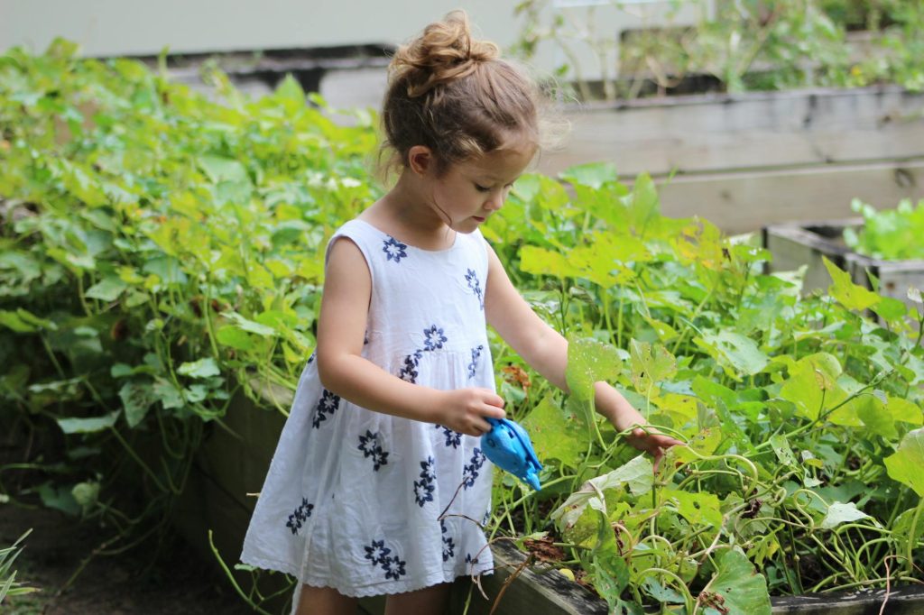 A small child standing next to a garden bed of plants