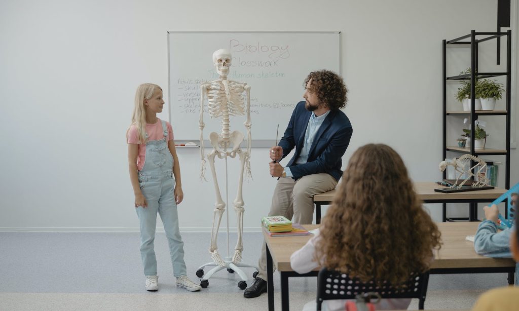 a student standing beside an anatomical model of a skeleton in front of the class with the teacher seated on the other side of the skeleton