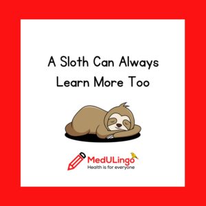 A Sloth Can Always Learn More Too