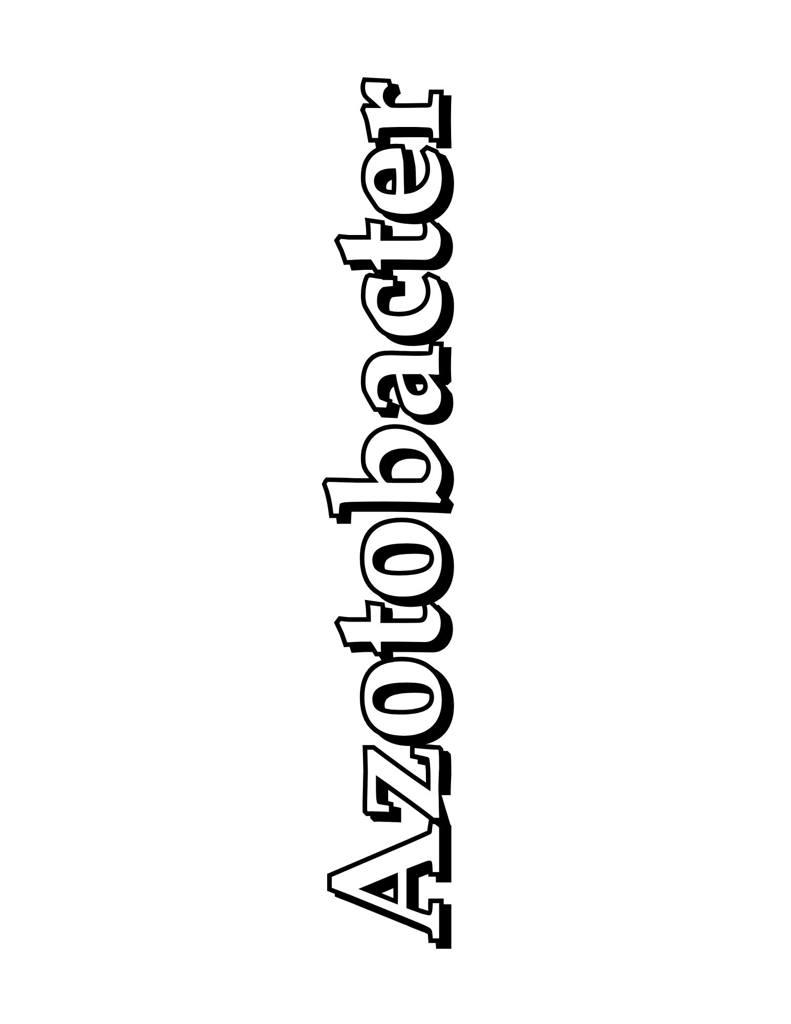 Aztobacteria