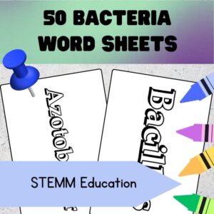 two sheets with bacteria words on them