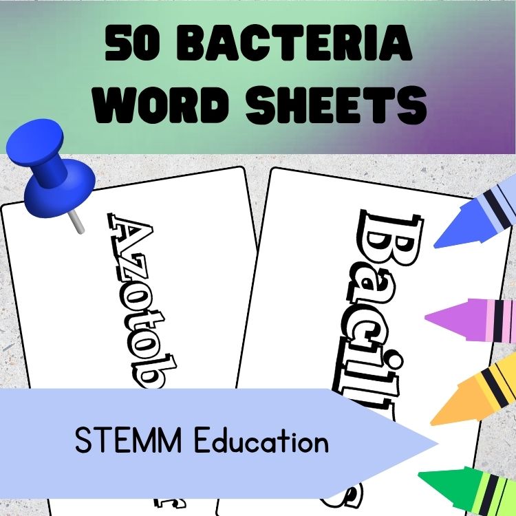 two sheets with bacteria words on them